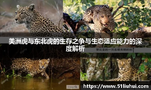 永利皇宫官网